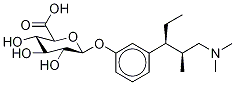 Tapentadol O-β-D-Glucuronide CAS#: 1300037-86-8