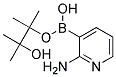 2-AMINOPYRIDINE-3-BORONIC ACID, PINACOL ESTER CAS#: 1073354-97-8