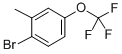 2-Bromo-5-(trifluoromethoxy)toluene CAS#: 261951-96-6