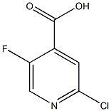 2-CHLORO-5-FLUOROISONICOTINIC ACID CAS#: 884494-74-0