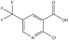 2-Chloro-5-(trifluoromethyl)-3-pyridinecarboxylic acid CAS#: 505084-59-3