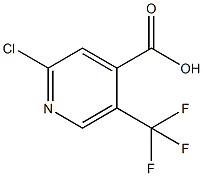 2-Chloro-5-(trifluoromethyl)isonicotinic acid 97% CAS#: 505084-58-2