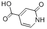 2-HYDROXYISONICOTINIC ACID CAS#: 169253-31-0