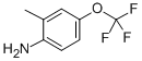 2-METHYL-4-(TRIFLUOROMETHOXY)ANILINE CAS#: 86256-59-9