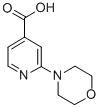 2-MORPHOLIN-4-YL-ISONICOTINIC ACID CAS#: 295349-64-3