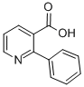 2-PHENYLNICOTINIC ACID CAS#: 33421-39-5