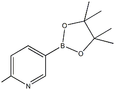 2-Picoline-5-boronic acid pinacolate CAS#: 610768-32-6