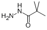 2,2-Dimethylpropionic acid hydrazide CAS#: 42826-42-6