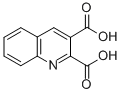 2,3-Quinoline dicarboxylic acid CAS#: 643-38-9