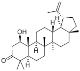 1β-Hydroxylup-20(29)-en-3-one CAS#: 23963-54-4