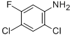 2,4-DICHLORO-5-FLUOROANILINE CAS#: 348-64-1