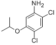 2,4-DICHLORO-5-ISOPROPOXYANILINE CAS#: 41200-96-8