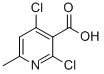 2,4-DICHLORO-6-METHYLNICOTINIC ACID CAS#: 56022-07-2