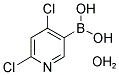 2,4-DICHLOROPYRIDINE-5-BORONIC ACID HYDRATE CAS#: 1072952-26-1