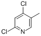 2,4-Dichloro-5-methylpyridine CAS#: 56961-78-5