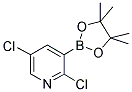 2,5-DICHLORO-3-(4,4,5,5-TETRAMETHYL-[1,3,2]-DIOXABOROLAN-2-YL)PYRIDINE CAS#: 1073371-98-8