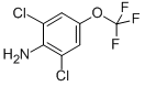 2,6-DICHLORO-4-(TRIFLUOROMETHOXY)ANILINE CAS#: 99479-66-0