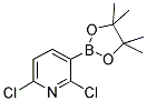 2,6-DICHLOROPYRIDINE-3-BORONIC ACID PINACOL ESTER CAS#: 1073371-78-4