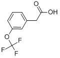 3-Trifluoromethoxyphenylacetic acid CAS#: 203302-97-0
