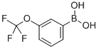 3-Trifluoromethoxyphenylboronic acid CAS#: 179113-90-7
