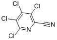 3,4,5,6-Tetrachloropyridine-2-carbonitrile CAS#: 17824-83-8