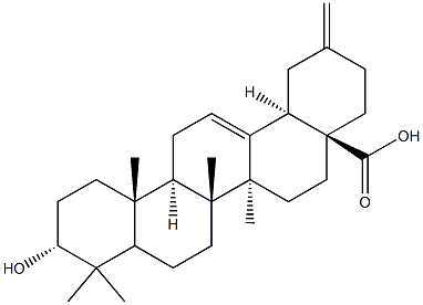3alpha-Akeboic acid CAS#: 104777-61-9