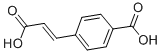 4-CARBOXYCINNAMIC ACID CAS#: 19675-63-9