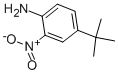 4-(TERT-BUTYL)-2-NITROANILINE CAS#: 6310-19-6