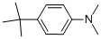 4-TERT-BUTYL-N,N-DIMETHYLANILINE CAS#: 2909-79-7