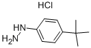 4-TERT-BUTYLPHENYLHYDRAZINE HYDROCHLORIDE CAS#: 128231-55-0