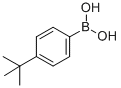 4-tert-Butylphenylboronic acid CAS#: 123324-71-0