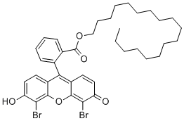 4',5'-DIBROMOFLUORESCEIN OCTADECYL ESTER CAS#: 138833-47-3