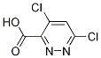 4,6-Dichloro-3-pyridazinecarboxylic acid CAS#: 1040246-87-4