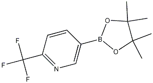 5-(4,4,5,5-Tetramethyl-1,3,2-dioxaborolan-2-yl)-2-(trifluoromethyl)pyridine CAS#: 1218790-39-6