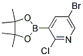 5-BROMO-2-CHLORO-3-(4,4,5,5-TETRAMETHYL-[1,3,2]-DIOXABOROLAN-2-YL)PYRIDINE CAS#: 1073354-79-6