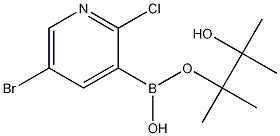 5-BROMO-2-CHLOROPYRIDINE-3-BORONIC ACID, PINACOL ESTER CAS#: 1073354-79-6