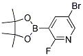 5-BROMO-2-FLUORO-3-(4,4,5,5-TETRAMETHYL-[1,3,2]-DIOXABOROLAN-2-YL)PYRIDINE CAS#: 1073353-50-0