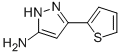 5-Thien-2-yl-1H-pyrazol-3-amine CAS#: 96799-03-0