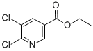 5,6-DICHLORONICOTINIC ACID ETHYL ESTER CAS#: 401566-69-6