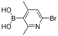 6-BROMO-2,4-DIMETHYLPYRIDIN-3-YLBORONIC ACID CAS#: 1072944-23-0