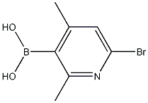 6-BROMO-2,4-DIMETHYLPYRIDINE-3-BORONIC ACID CAS#: 1072944-23-0