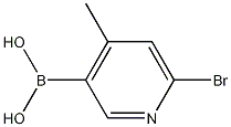 6-BROMO-4-METHYLPYRIDINE-3-BORONIC ACID CAS#: 1072945-75-5