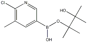 6-CHLORO-5-METHYLPYRIDINE-3-BORONIC ACID, PINACOL ESTER CAS#: 1010101-07-1