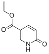 6-HYDROXYNICOTINIC ACID ETHYL ESTER CAS#: 18617-50-0