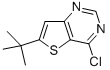 6-T-BUTYL-4-CHLOROTHIENO[3,2-D]PYRIMIDINE CAS#: 439693-52-4
