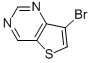 7-bromothieno[3,2-d]pyrimidine CAS#: 21586-25-4
