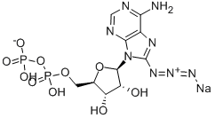 8-AZIDOADENOSINE-5'-O-DIPHOSPHATE SODIUM SALT CAS#: 102185-14-8