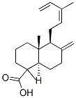 8(17),12,14-Labdatriene-19-oic acid CAS#: 2761-77-5