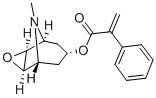 APOHYOSCINE CAS#: 535-26-2