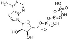 Adenosine triphosphate CAS#: 56-65-5